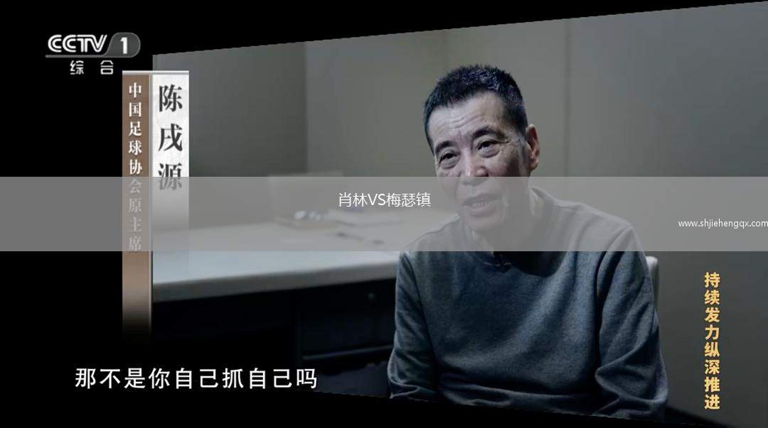 肖林VS梅瑟镇